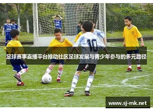 足球赛事直播平台推动社区足球发展与青少年参与的多元路径