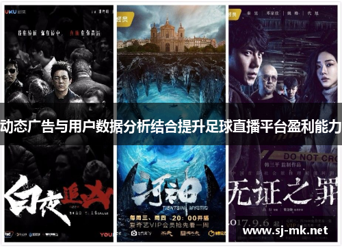 动态广告与用户数据分析结合提升足球直播平台盈利能力